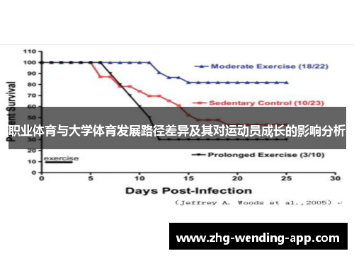 职业体育与大学体育发展路径差异及其对运动员成长的影响分析