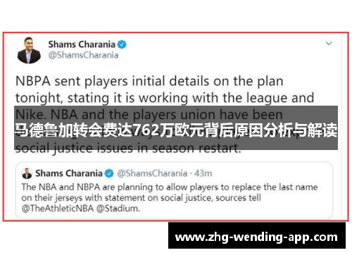 马德鲁加转会费达762万欧元背后原因分析与解读